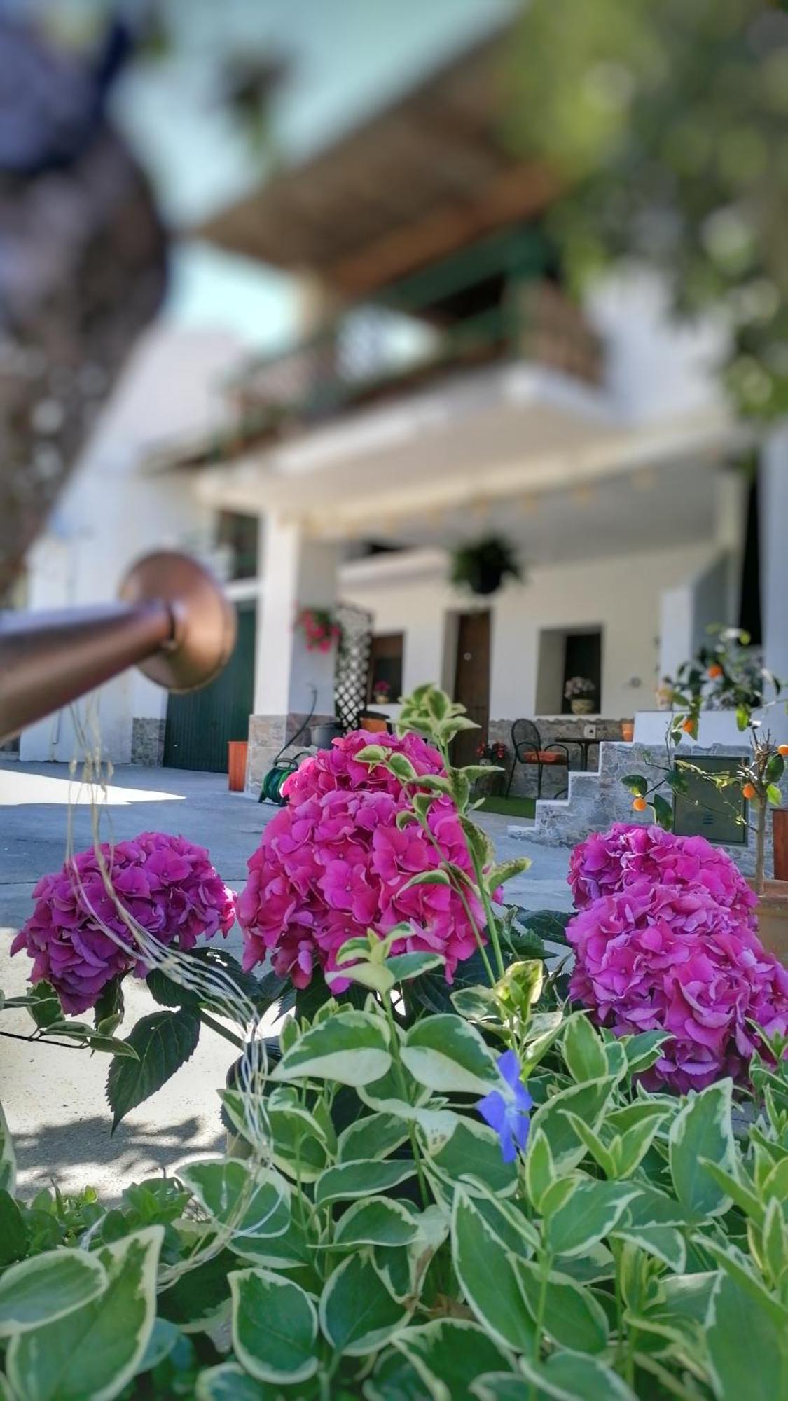 Appartamento La Casa De La Abuela Pinos Genil Esterno foto