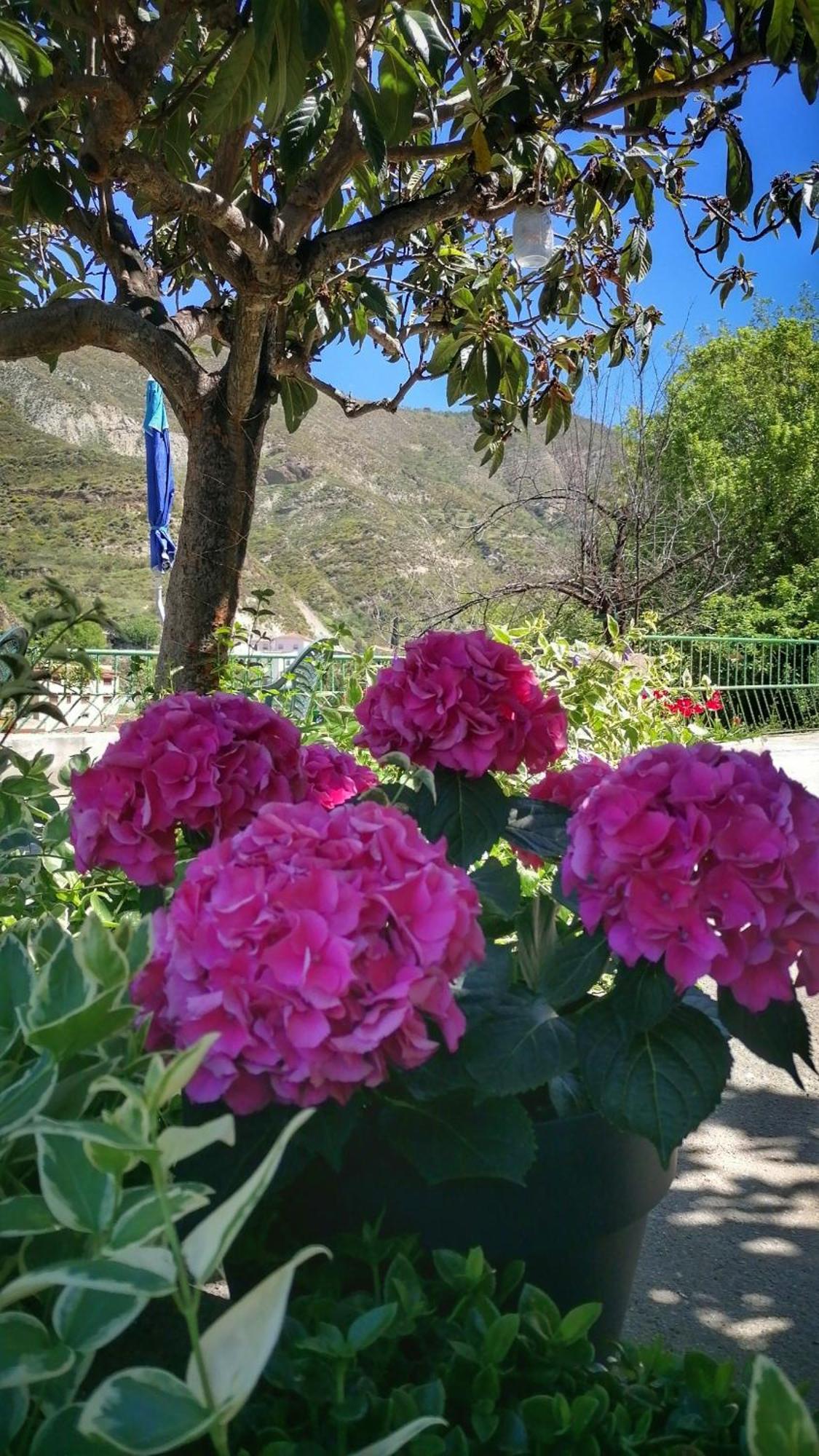 Appartamento La Casa De La Abuela Pinos Genil Esterno foto