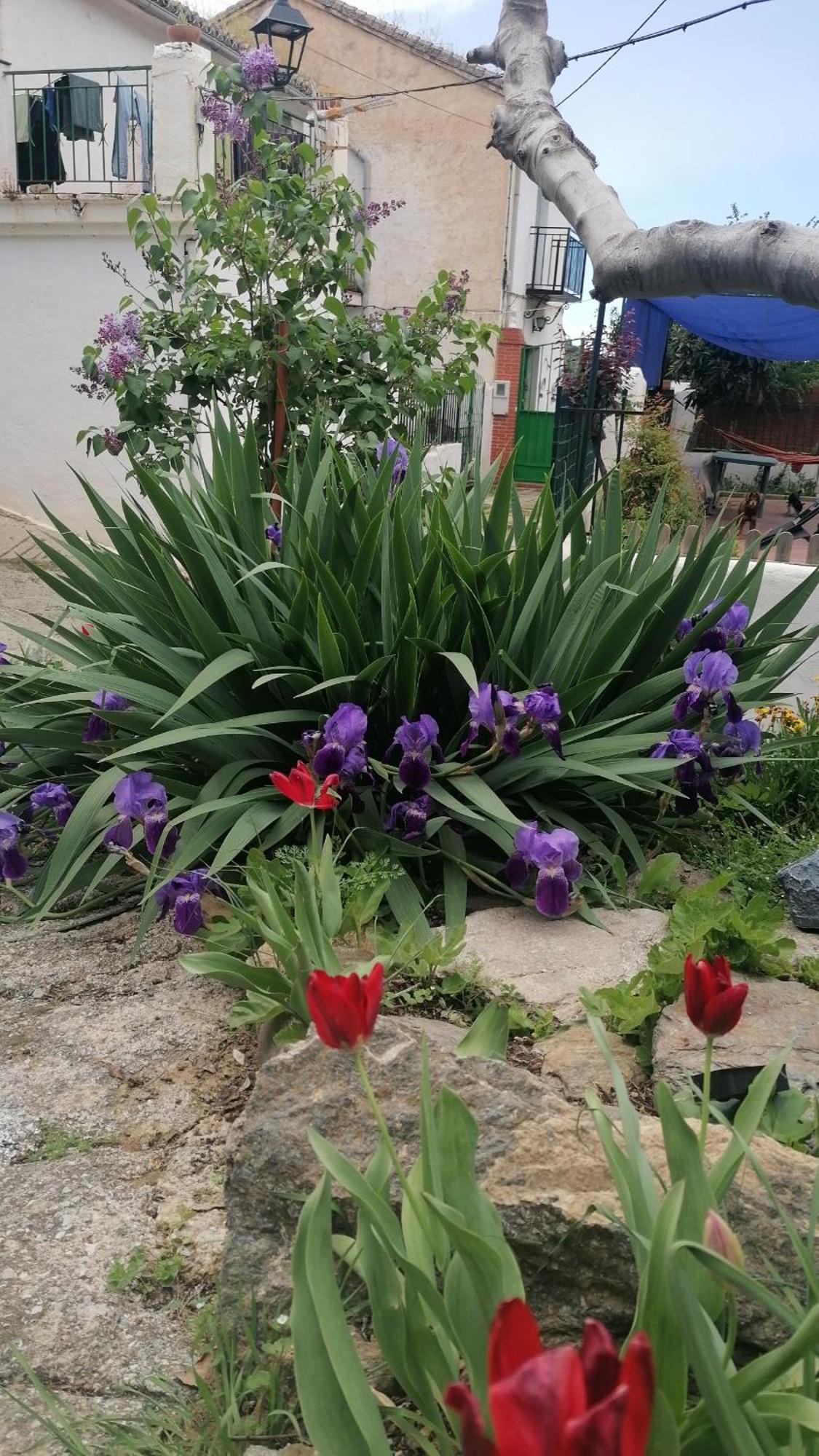 Appartamento La Casa De La Abuela Pinos Genil Esterno foto