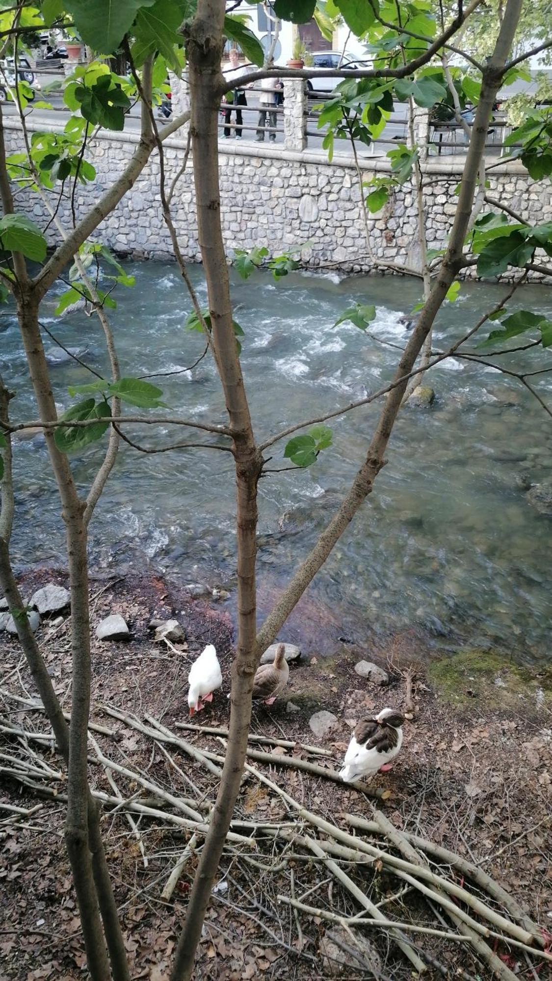 Appartamento La Casa De La Abuela Pinos Genil Esterno foto