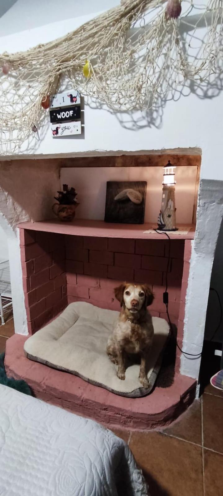 Appartamento La Casa De La Abuela Pinos Genil Esterno foto
